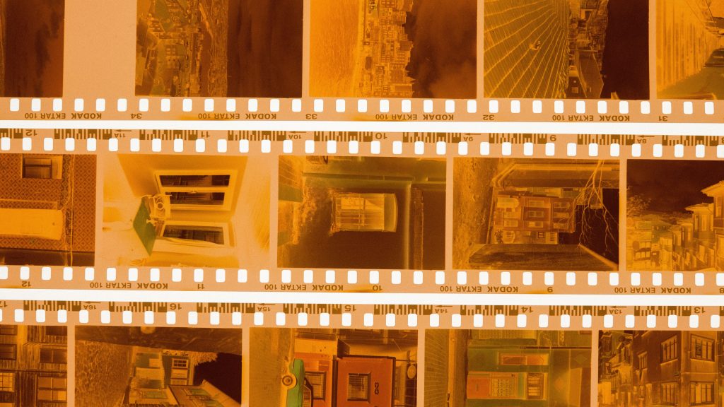 Sheet of Kodak Ektar 100 film negatives showing analog grain